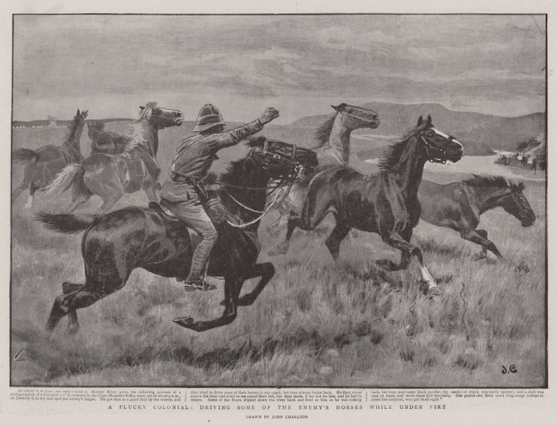 A Plucky Colonial, driving some of the Enemy