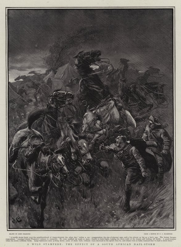 A Wild Stampede, the Effect of a South African Hail-Storm by John Charlton