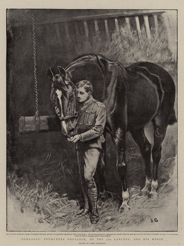 Comrades, Trumpeter Shurlock, of the 5th Lancers, and his Horse by John Charlton