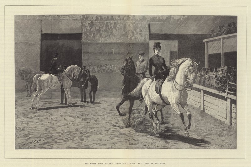The Horse Show at the Agricultural Hall, the Arabs in the Ring by John Charlton