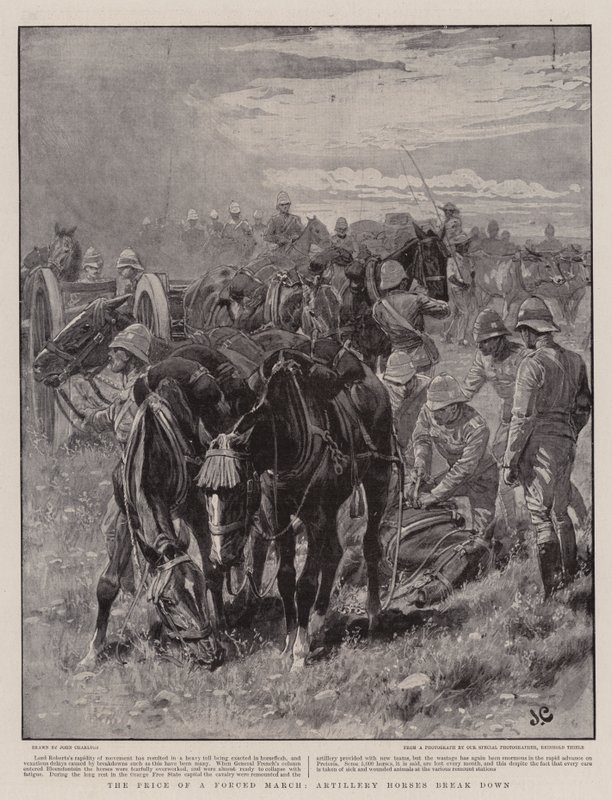 The Price of a Forced March, Artillery Horses break down by John Charlton