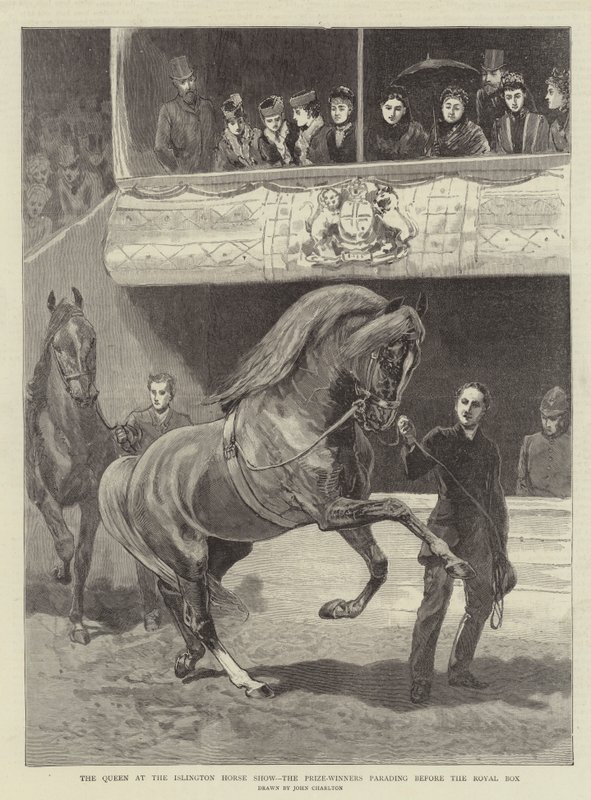 The Queen at the Islington Horse Show, the Prize-Winners parading before the Royal Box by John Charlton