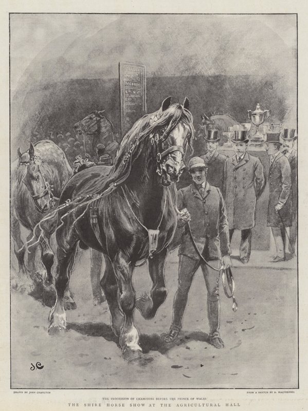 The Shire Horse Show at the Agricultural Hall by John Charlton