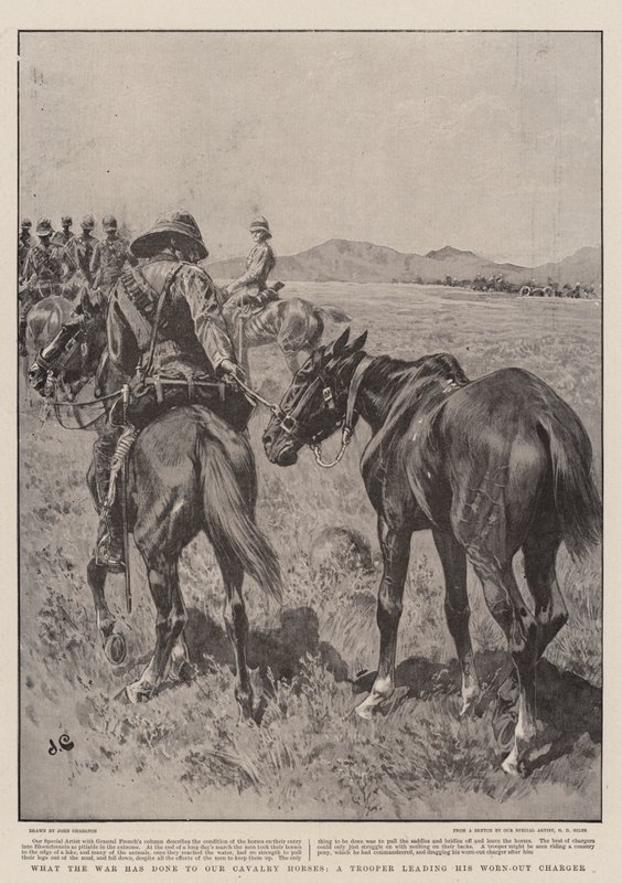 What the War has done to our Cavalry Horses, a Trooper leading his Worn-Out Charger by John Charlton