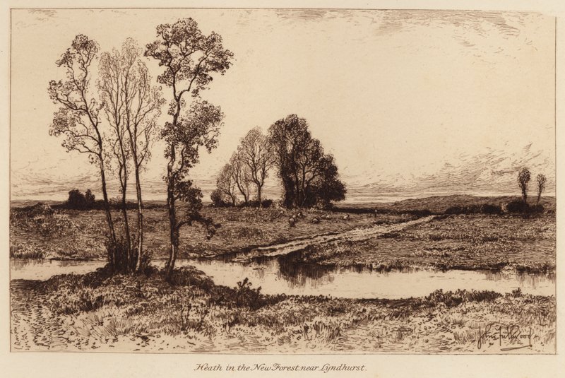 Heath in the New Forest, near Lyndhurst by John Fullwood