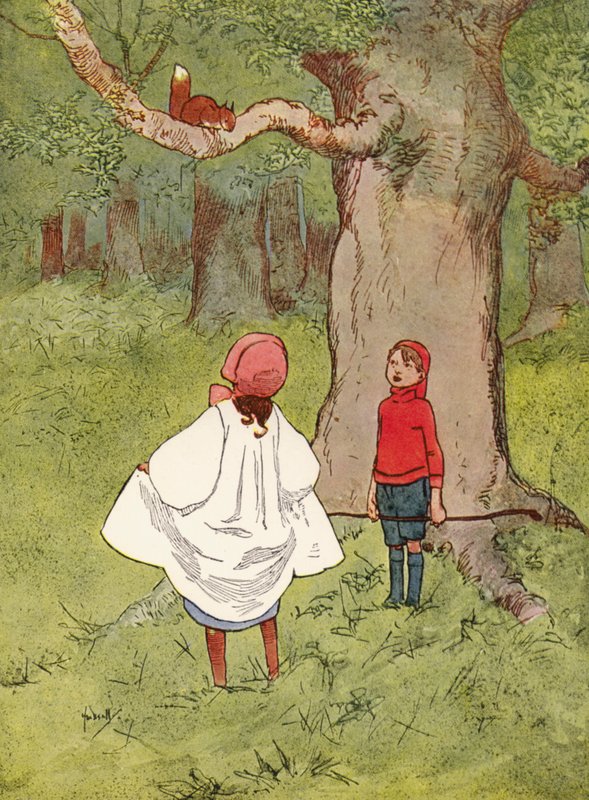 A Dear Little Squirrel, with a Curly Tail by John Hassall