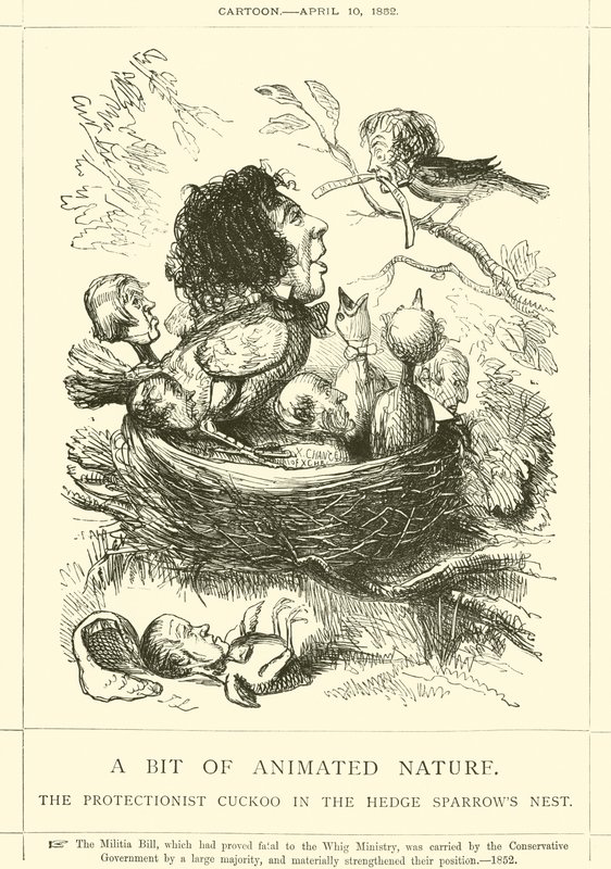 A Bit of Animated Nature, The Protectionist Cuckoo in the Hedge Sparrow