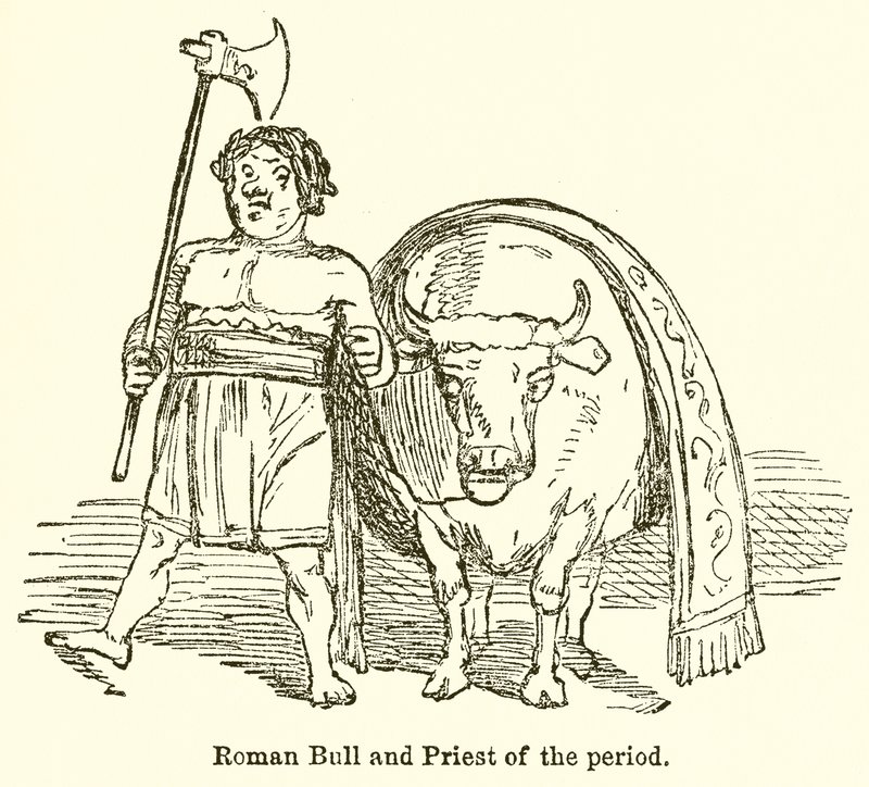 Roman Bull and Priest of the Period by John Leech