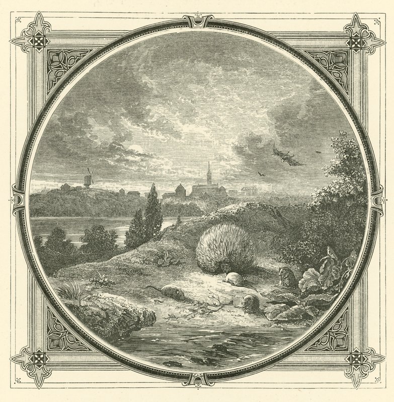 Play, but chastely by John Leighton