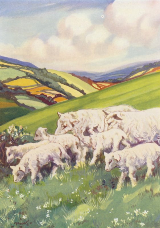 Illustration for Beautiful Joe by Marshall Saunders by John Nicholson