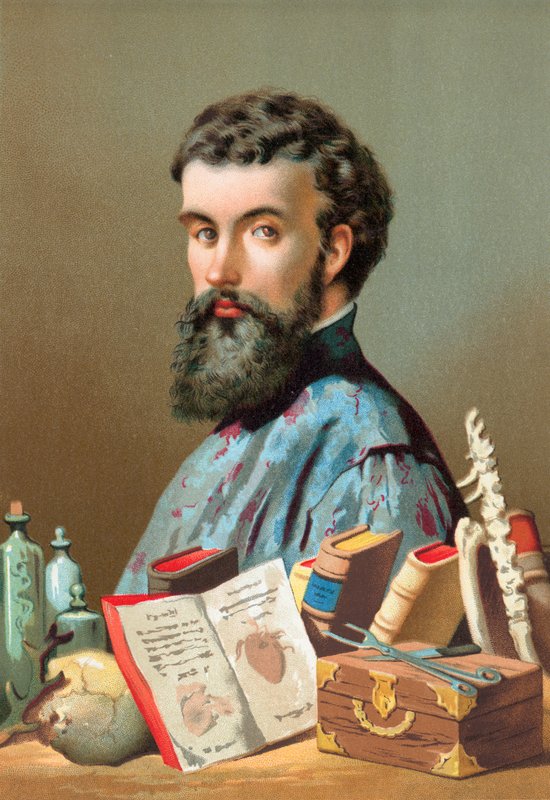 Andreas Vesalius by Jose Armet Portanell
