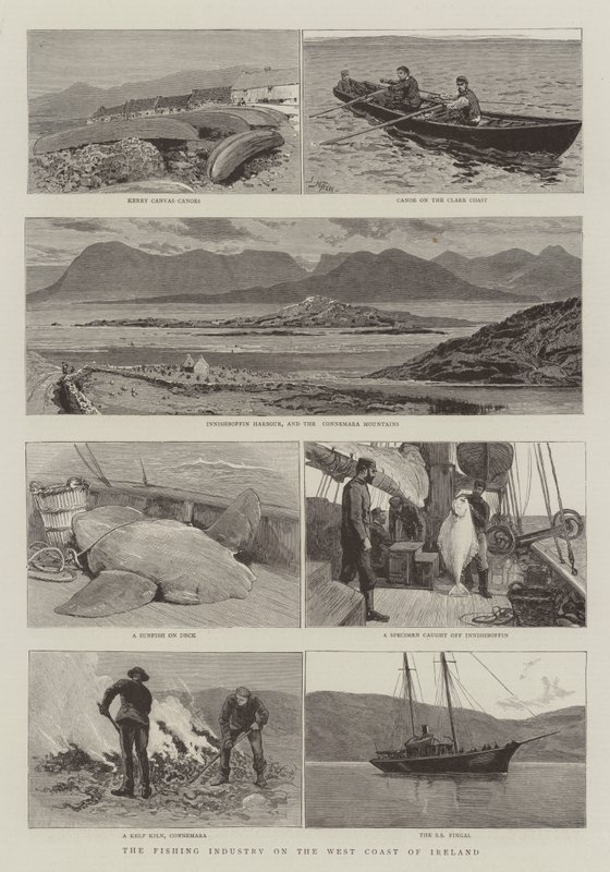 The Fishing Industry on the West Coast of Ireland by Joseph Nash