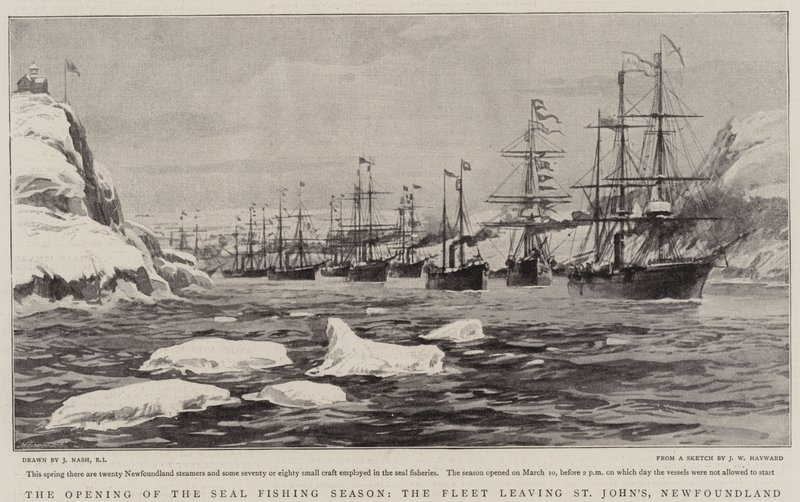 The Opening of the Seal Fishing Season, the Fleet leaving St John