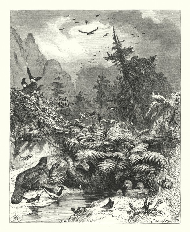 Search After God by Joseph (after) Wolf