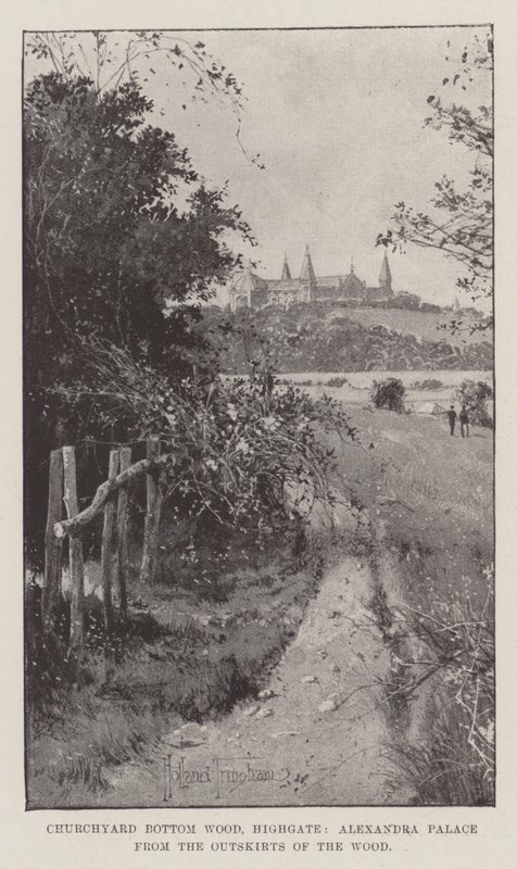 Churchyard Bottom Wood, Highgate, Alexandra Palace from the Outskirts of the Wood by Joseph Holland Tringham