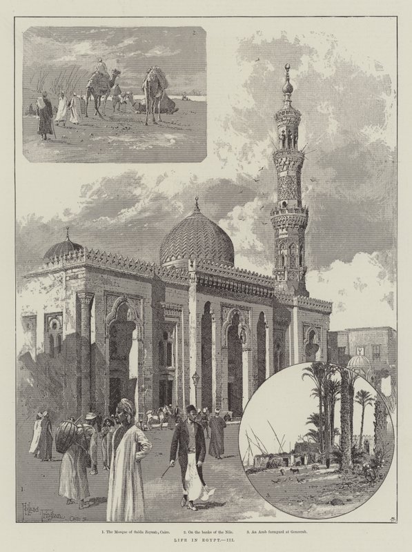 Life in Egypt by Joseph Holland Tringham