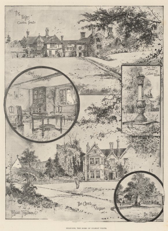 Selborne, the Home of Gilbert White by Joseph Holland Tringham
