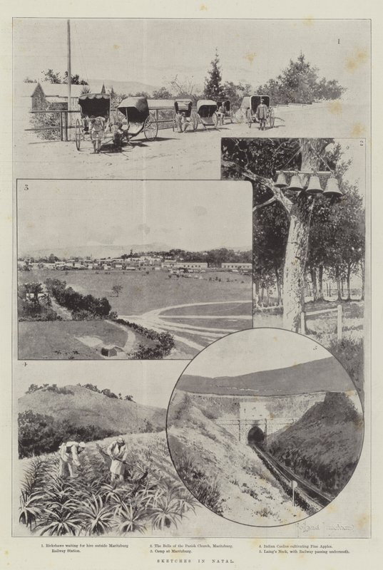 Sketches in Natal by Joseph Holland Tringham