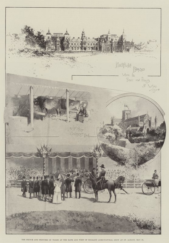 The Prince and Princess of Wales at the Bath and West of England Agricultural Show at St Albans, 29 May by Joseph Holland Tringham