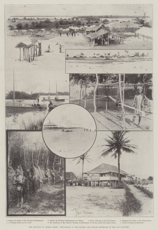 The Trouble in Sierra Leone, the Rising in the Sulima and Manoh Districts of the Vai Country by Joseph Holland Tringham