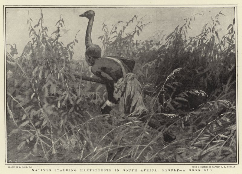 Natives Stalking Hartebeeste in South Africa, Result, A Good Bag by Joseph Nash