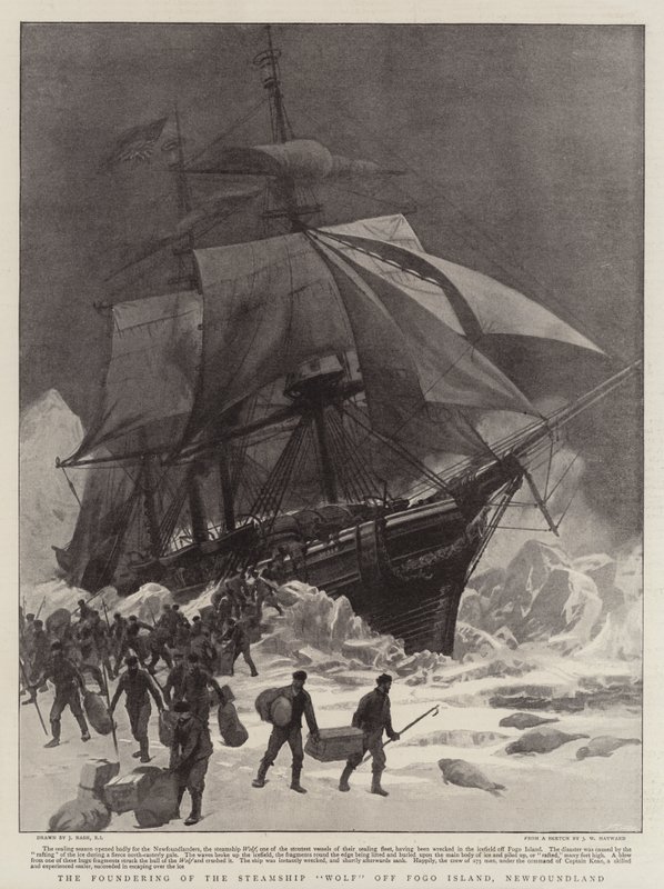 The Foundering of the Steamship Wolf off Fogo Island, Newfoundland by Joseph Nash