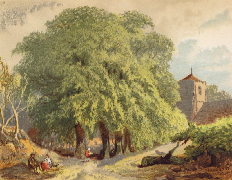 Village Scene, Limes by Joseph Needham