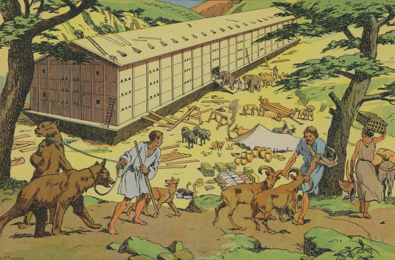 Noah