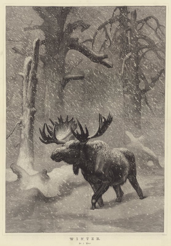 Winter by Joseph Wolf
