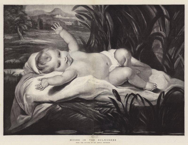 Moses in the Bulrushes by Joshua Reynolds