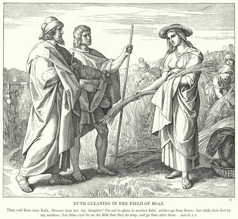Ruth Gleaning in the Field of Boaz by Julius (after) Schnorr von Carolsfeld