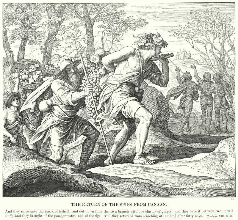 The Return of the Spies from Canaan by Julius (after) Schnorr von Carolsfeld