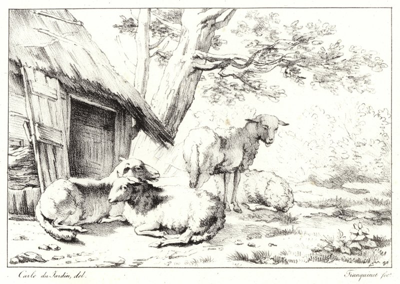 Sheep by Karel Dujardin
