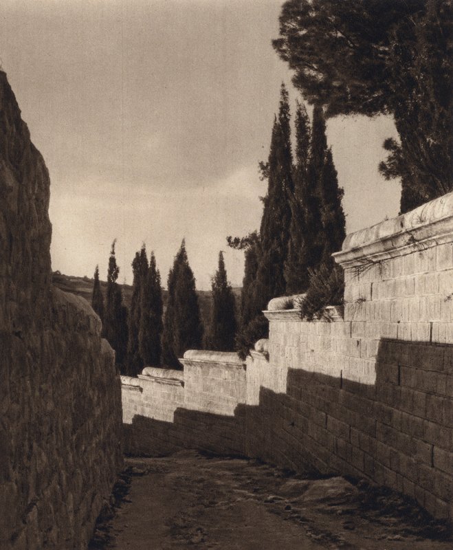 Jerusalem, Garden of Gethsemane by Karl Grober