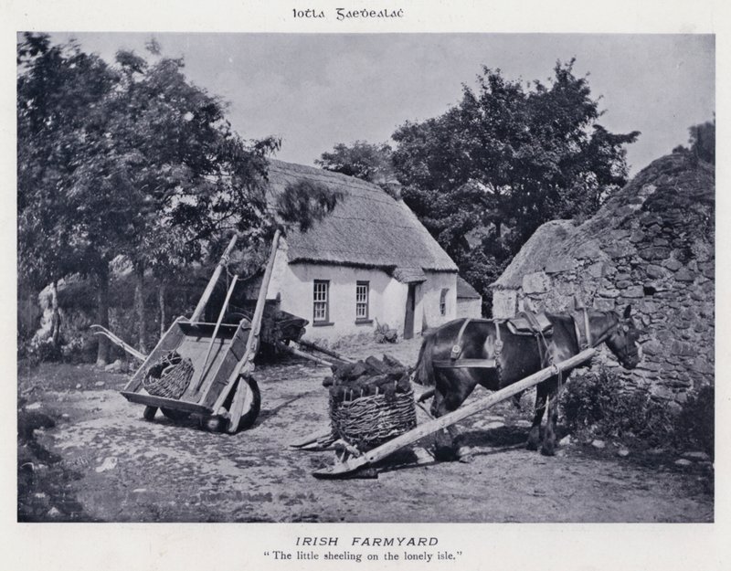 Irish Farmyard by Karl Karlovich Piratsky