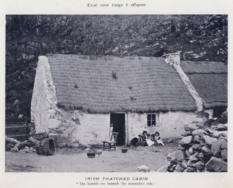Irish Thatched Cabin by Karl Karlovich Piratsky