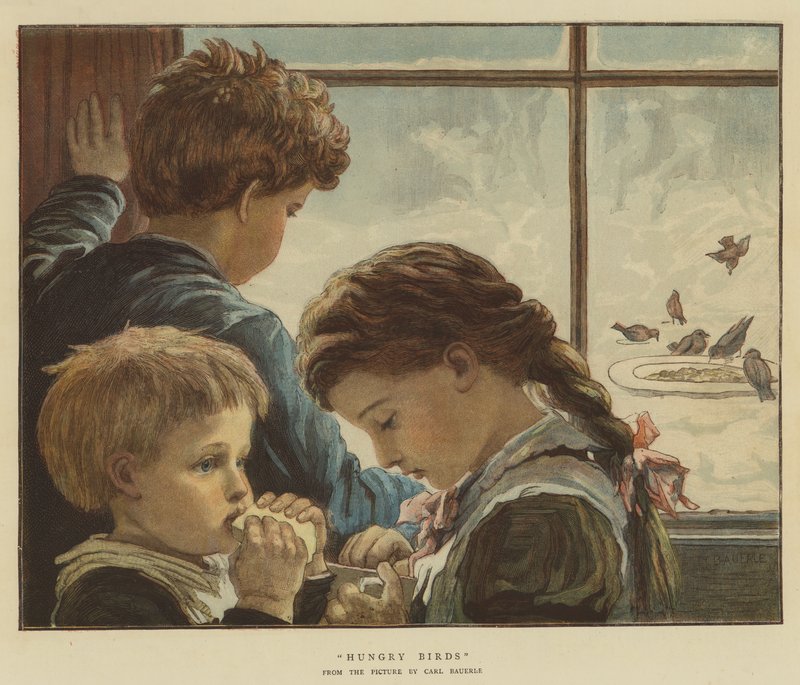 Hungary Birds by Karl Wilhelm Friedrich Bauerle