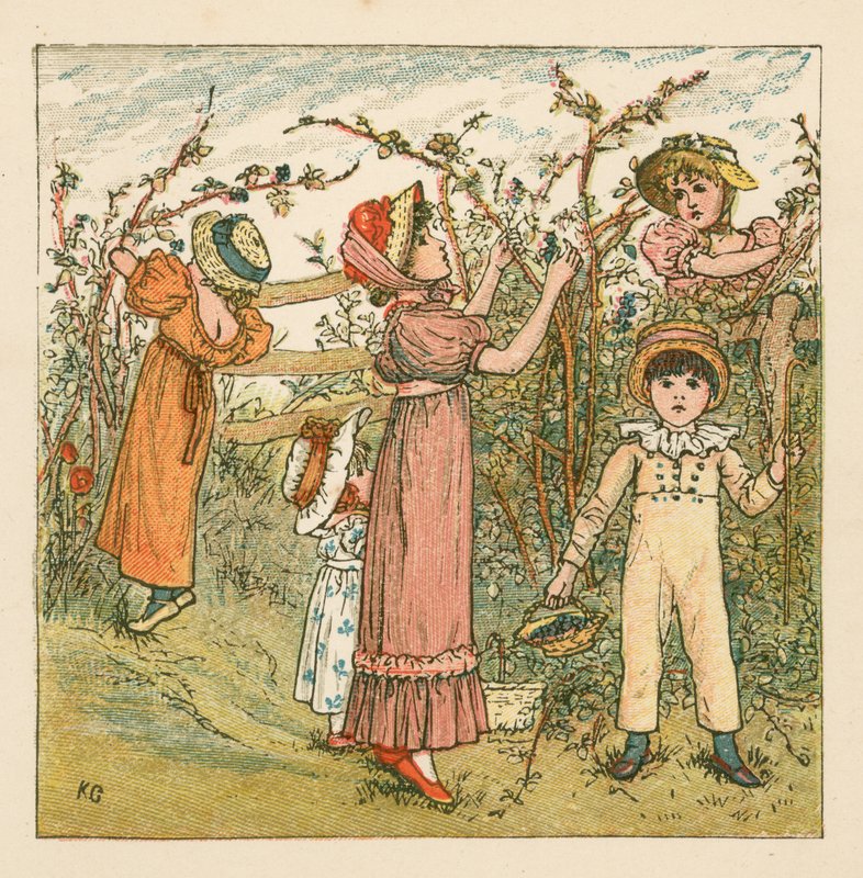 Picking blackberries by Kate Greenaway