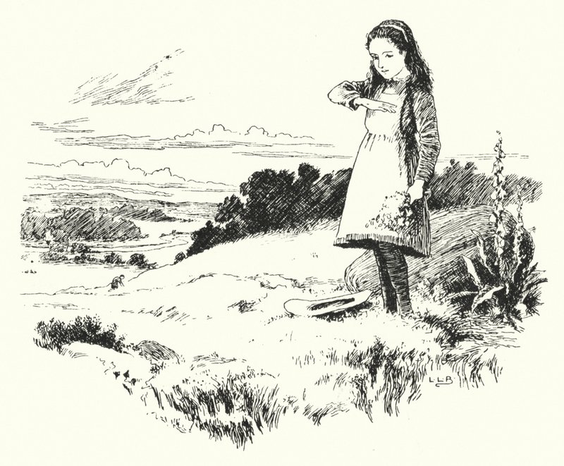 Lady Bird, Lady Bird, Fly Away Home by Leonard Leslie Brooke