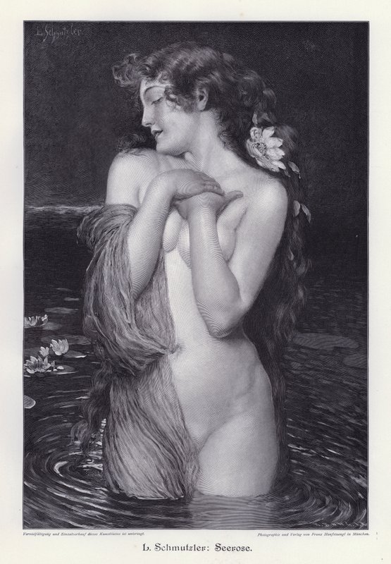 Water Lily (engraving) by Leopold Schmutzler