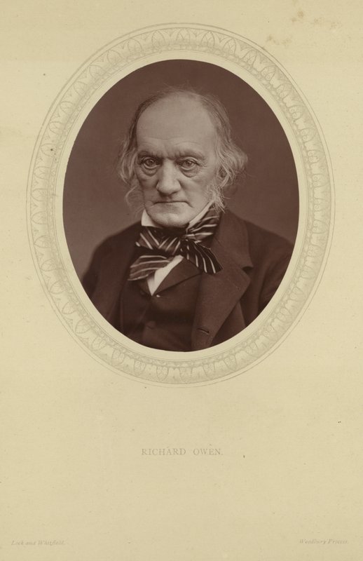 Portrait of Sir Richard Owen by Lock and Whitfield