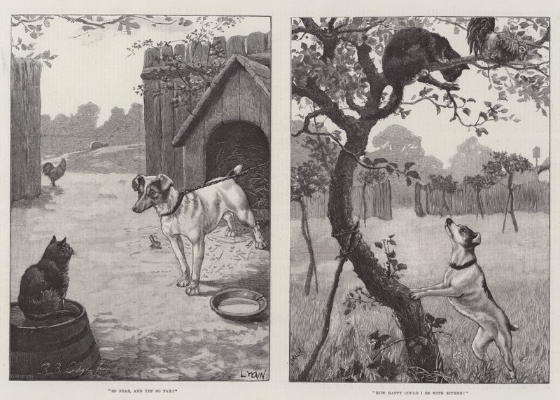 Cats and Dogs by Louis Wain