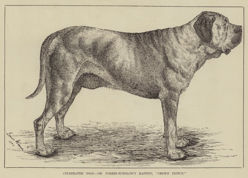 Celebrated Dogs, Dr Forbes-Winslow