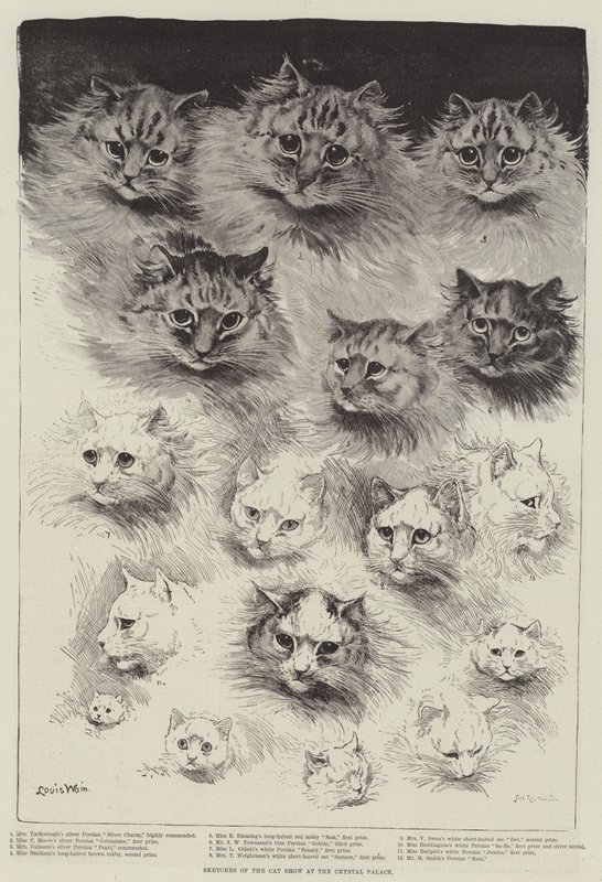 Sketches of the Cat Show at the Crystal Palace by Louis Wain