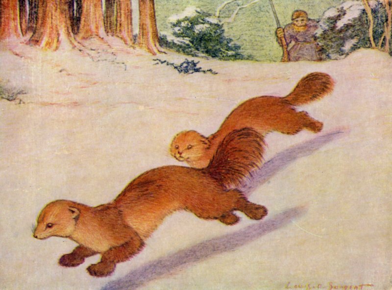At the Zoo: Martens by Louis Augustus Sargent