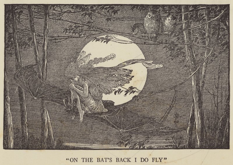 On the bat