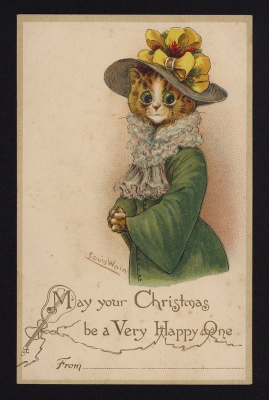 Cat wearing a woman