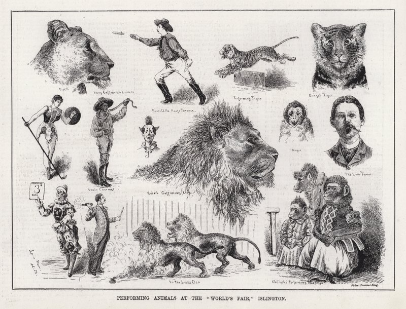 Performing Animals at the World