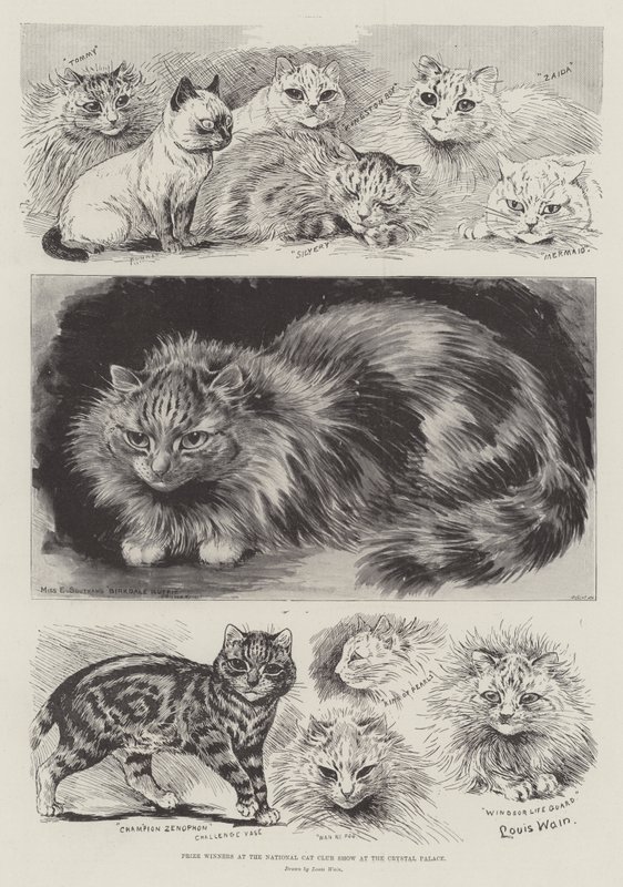 Prize Winners at the National Cat Club Show at the Crystal Palace by Louis Wain