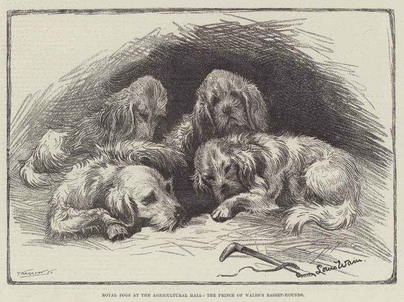 Royal Dogs at the Agricultural Hall, the Prince of Wales